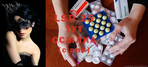 PSILOCYBIN Баксан