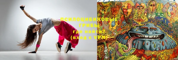 PSILOCYBIN Баксан