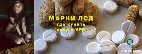 PSILOCYBIN Баксан