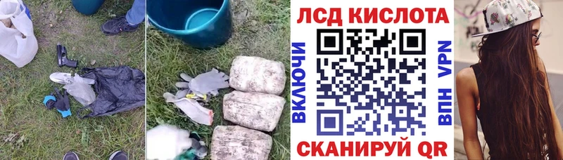Купить закладки  Дятьково  LSD-25 экстази кислота 